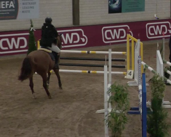 Reitturnier Heilbronn 2021