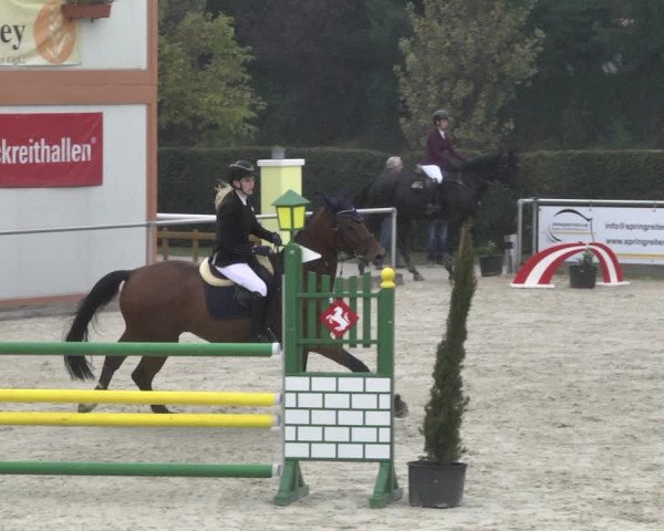 Reitturnier Durmersheim-Hardt 2021