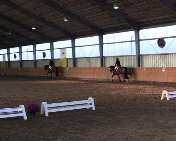 Reitturnier Frechen-Grefrath - Sonnenhof 2021