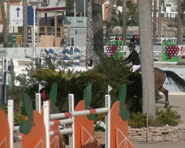 MET I Oliva - Woche 1 (ESP) 2020