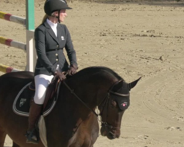Reitturnier Leingarten 2021