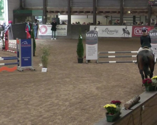 Reitturnier Heilbronn 2021