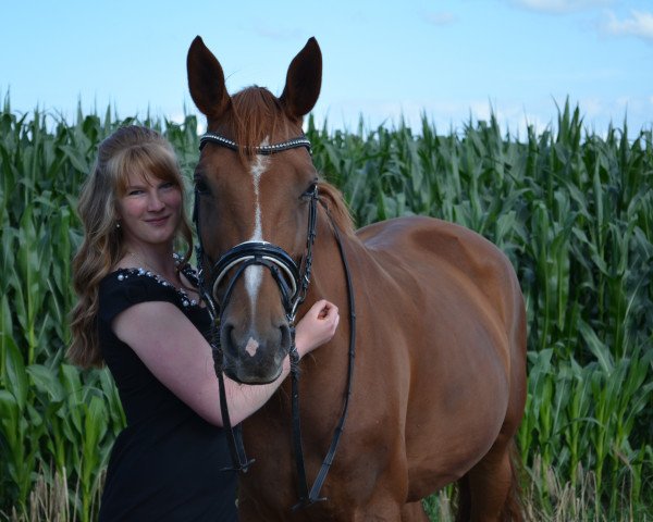 dressage horse Raissa S (Hanoverian, 2008, from Rascalino)