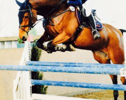 broodmare Conchetta (Rhinelander, 2007, from Clearway)