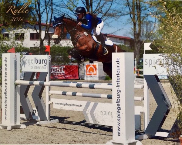 Springpferd Diana (Oldenburger Springpferd, 2011, von Diarado)