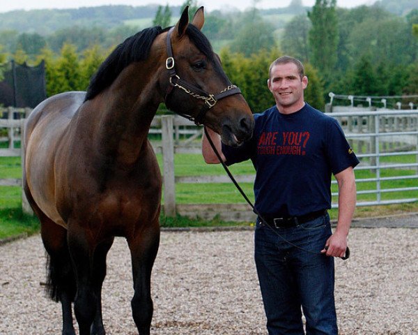 Deckhengst Raging Bull Vangelis S (Belgisches Warmblut, 1998, von Nonstop)
