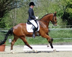 dressage horse Recall WF (Westphalian, 2012, from Riccione)