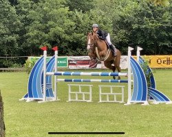 jumper Dulittle 3 (Westphalian, 2017, from Diamant de Landor)