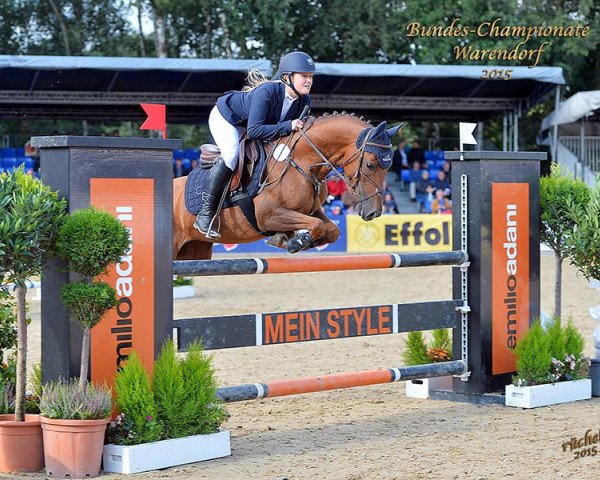 Springpferd Gogo M (Deutsches Reitpony, 2009, von Golden Leroy)
