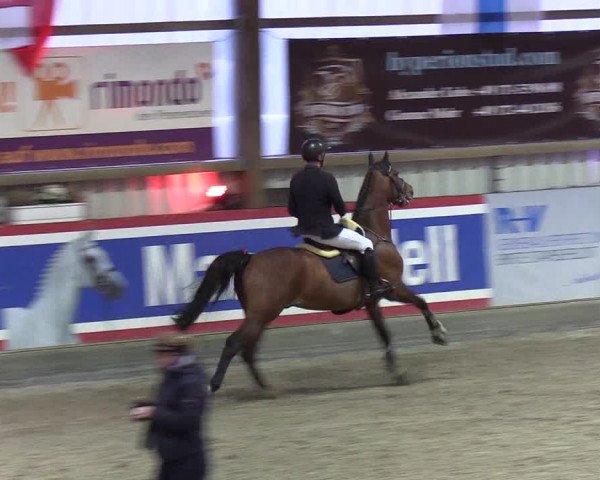 Nordic Jumping events 2020