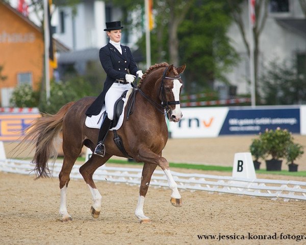 dressage horse Fantomas IV (Westphalian, 1998, from Florestan I)