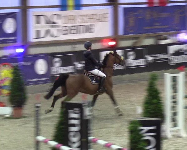 Nordic Jumping events 2020