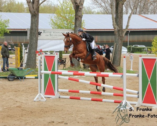 jumper Clara 126 (Holsteiner, 2010, from For Ever Jump)