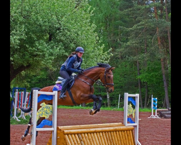 broodmare Lillifee 23 (Hanoverian, 2001, from Landclassic)