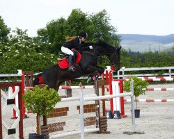 broodmare Clara (Hanoverian, 2002, from Contendro I)