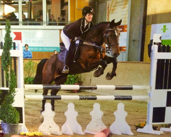 jumper Charley 19 (KWPN (Royal Dutch Sporthorse), 2007, from Pierrot)