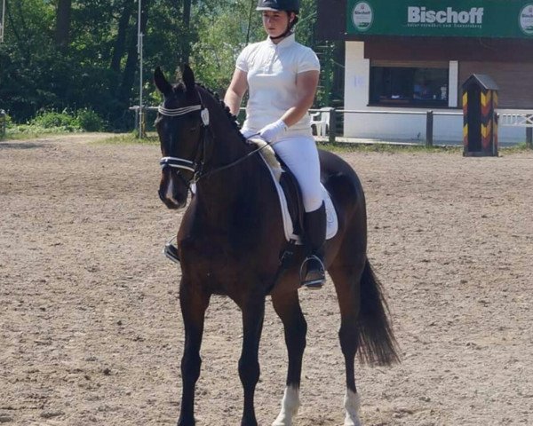 horse Pastrocio (unknown, 1997)
