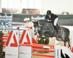 jumper Chiara Della Luna 3 (Holsteiner, 2014, from Colman)