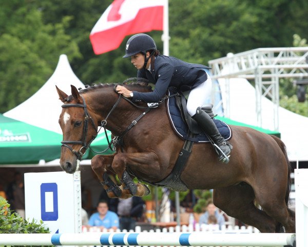 broodmare Diosa 8 (KWPN (Royal Dutch Sporthorse), 2008, from Wittinger)