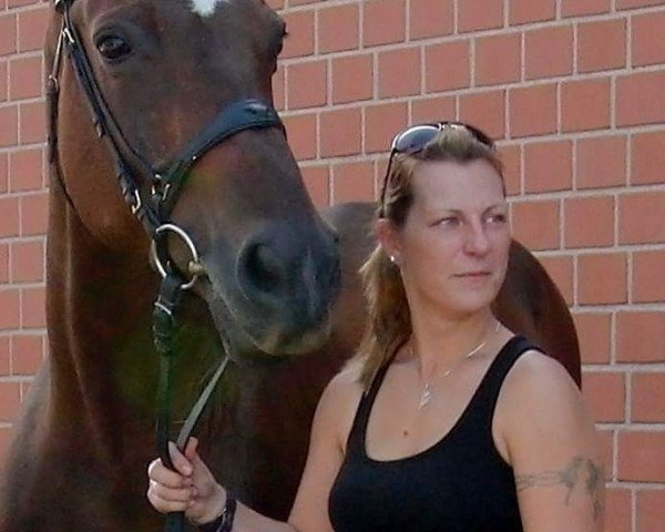 broodmare Desert Rose Dalina (Westphalian, 1996, from Dinard L)