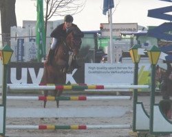 jumper Calimera 54 (Westphalian, 2010, from Comme il Faut)