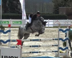 broodmare Concorde 66 (Holsteiner, 2010, from Cassini I)
