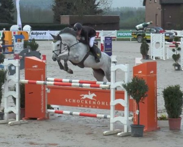 jumper Concordess NRW (Westphalian, 2010, from Congress)