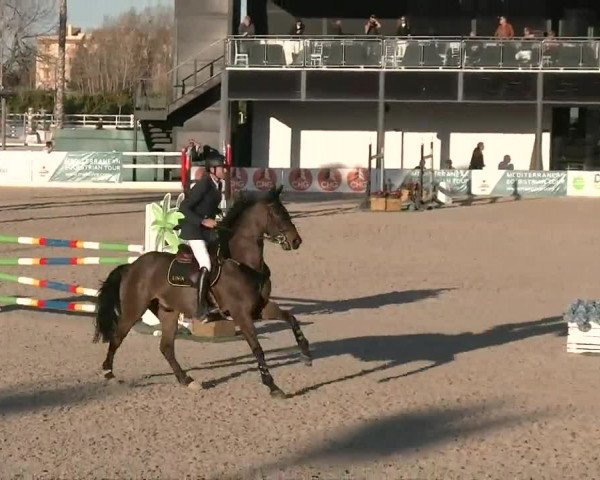 MET I Oliva - Woche 3 (ESP) 2020