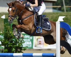 jumper Fiona 35 (German Riding Pony, 2007)