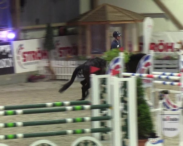 Nordic Jumping events 2020