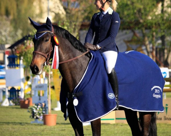 broodmare Lordess 2 (Brandenburg, 2002, from Levisto Z) broodmare Lordess 2 (Brandenburg, 2002, from Levisto Z)