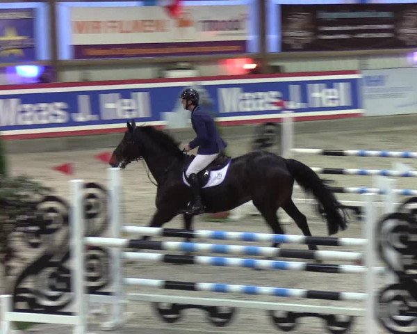 Nordic Jumping events 2020