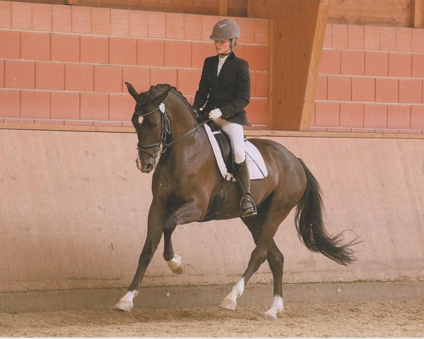 Dressurpferd Fabriano 73 (Hannoveraner, 2009, von For Compliment)
