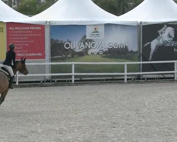 MET I Oliva - Woche 2 (ESP) 2020