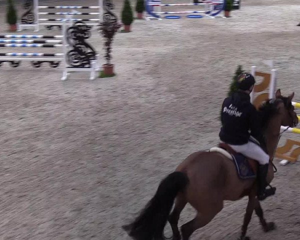 Nordic Jumping events 2020