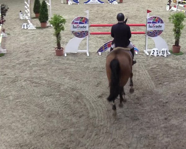 Nordic Jumping events 2020