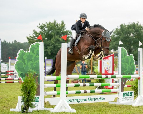 jumper Leopold Von Albany H (German Sport Horse, 2014, from Lahnstein 4) jumper Leopold Von Albany H (German Sport Horse, 2014, from Lahnstein 4)