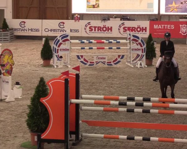 Nordic Jumping events 2020