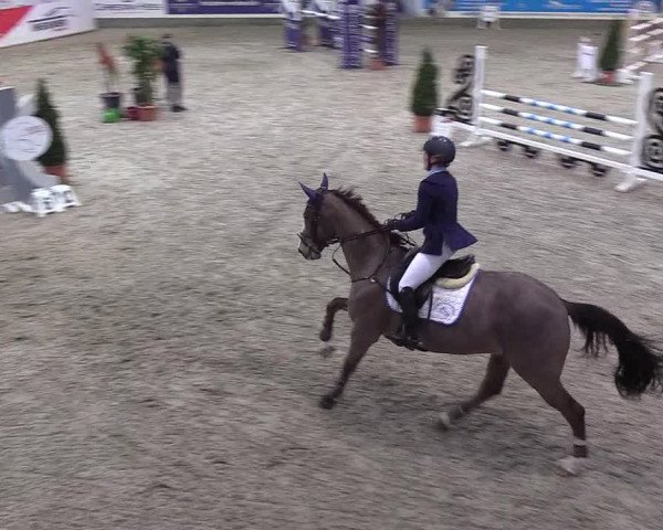 Nordic Jumping events 2020