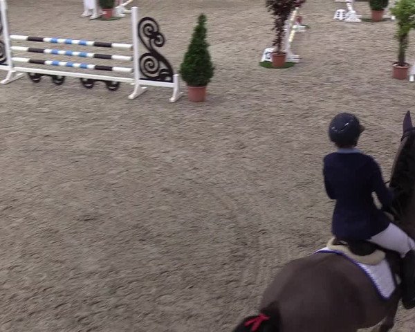 Nordic Jumping events 2020