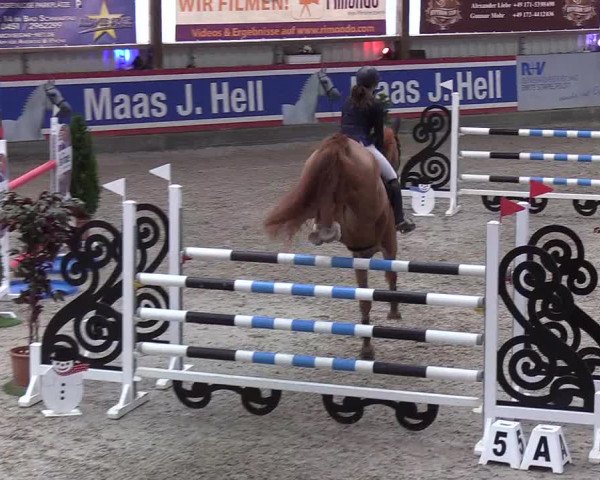 Nordic Jumping events 2020