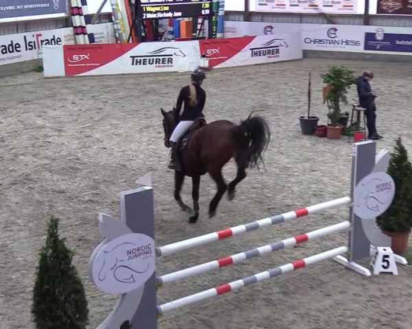 Nordic Jumping events 2020