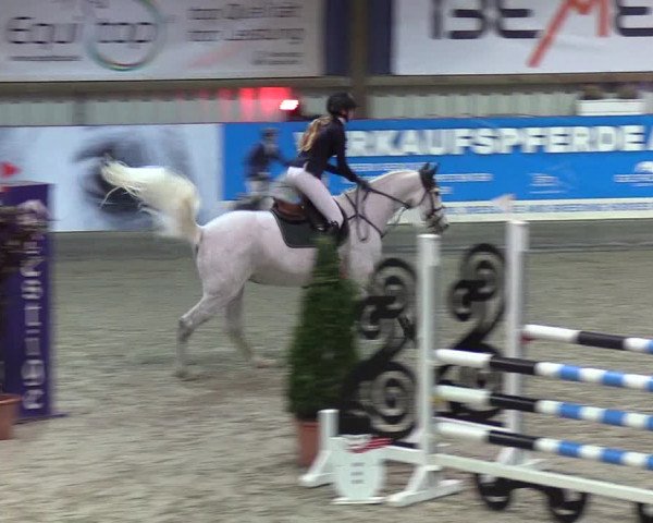 Nordic Jumping events 2020