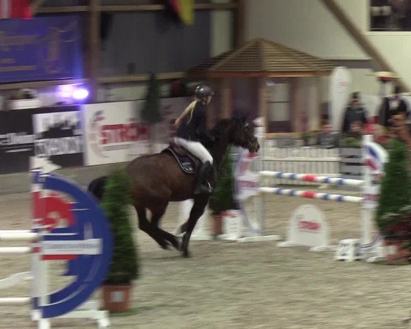 Nordic Jumping events 2020