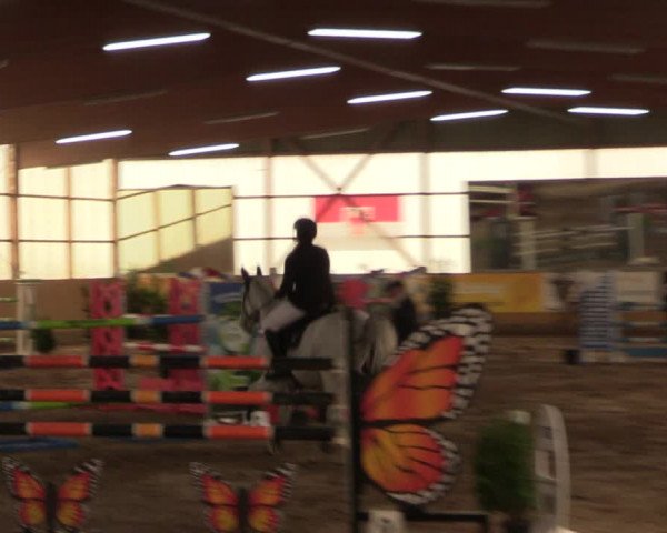 Große Jumping-Trophy Pausin 2021