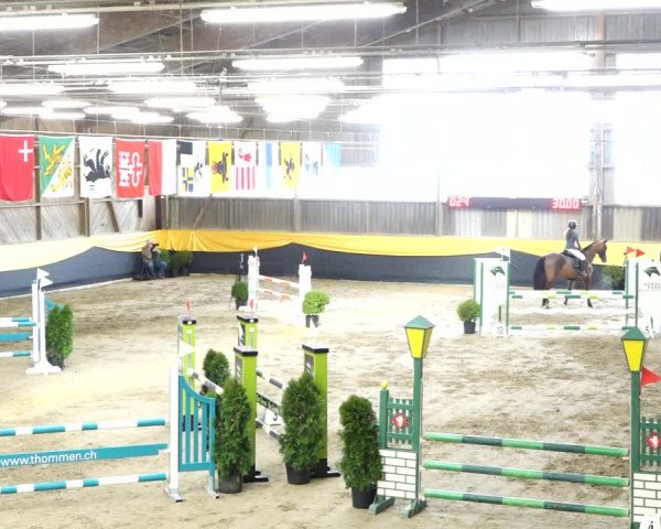 Reitturnier Erlen 2020
