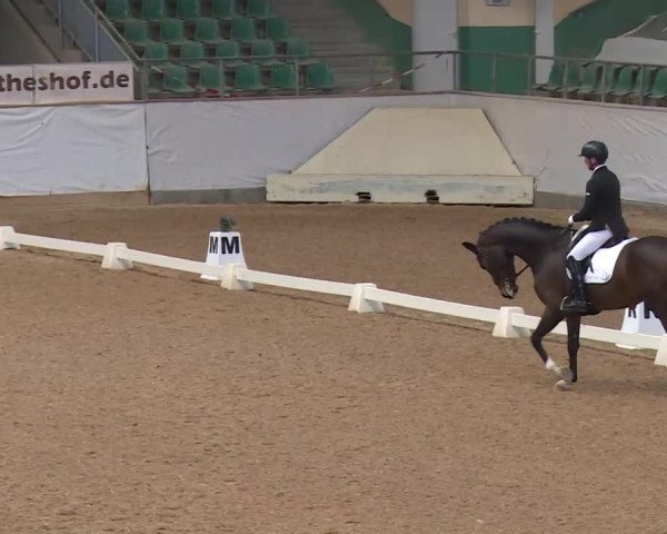 Reitturnier Kreuth/Opf. 2020