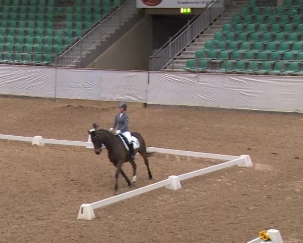 Reitturnier Kreuth/Opf. 2020
