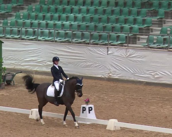 Reitturnier Kreuth/Opf. 2020