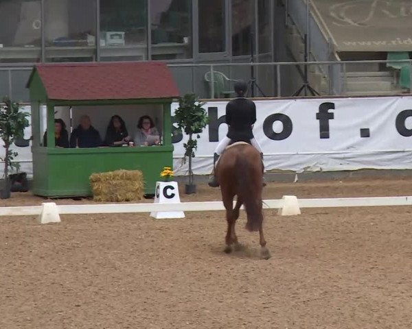 Reitturnier Kreuth/Opf. 2020
